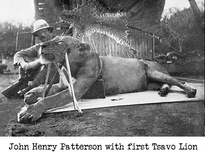 John Henry Patterson - first Tsavo lion