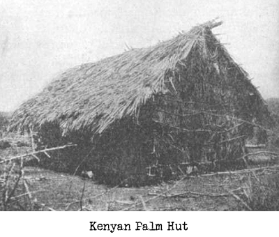 Palm Hut