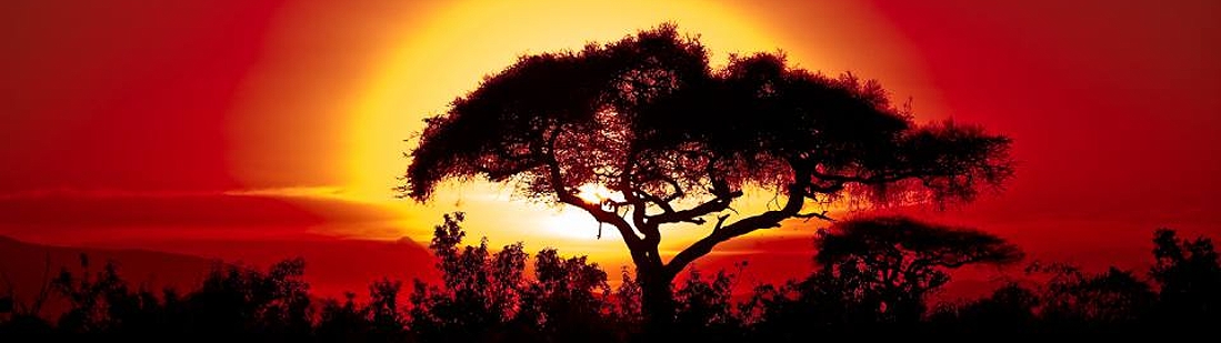 The Ghost and The Darkness – The Man-Eaters Of Tsavo