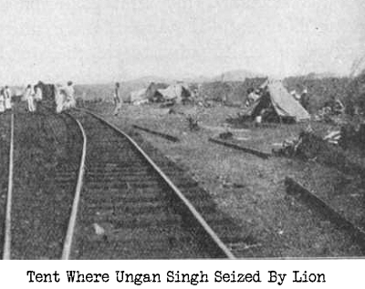 Ungan Singh tent