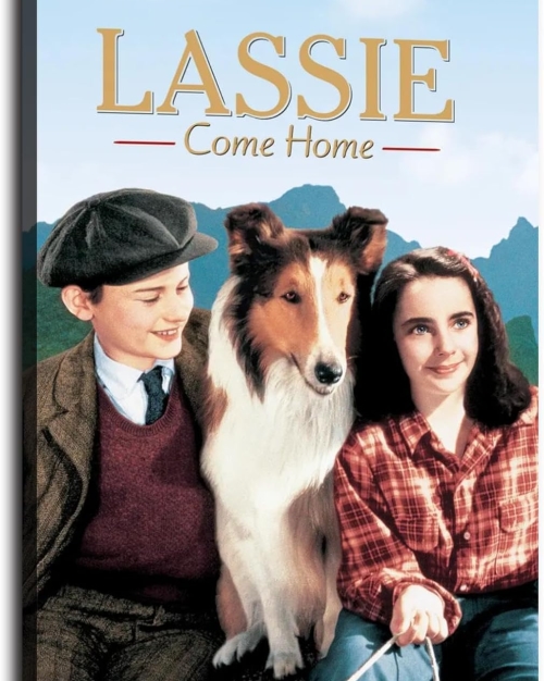 Lassie Come Home movie poster